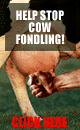 Stop Cow Molestation!